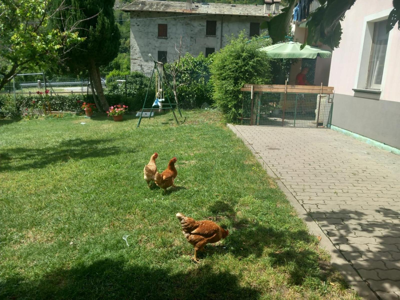 Casa Sergio Grosio Buitenkant foto