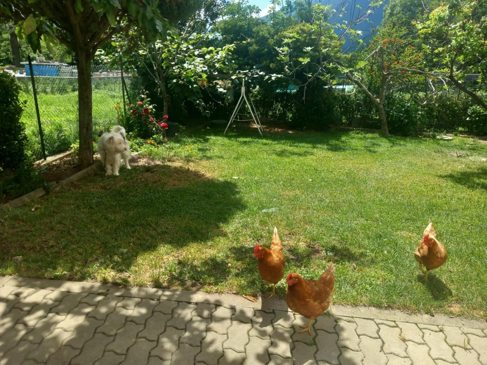 Casa Sergio Grosio Buitenkant foto